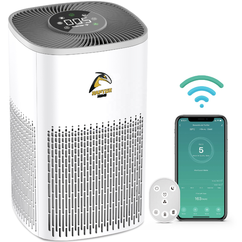 Oasis 2024 air purifier