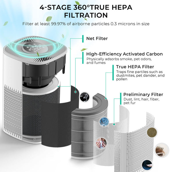 H12 HEPA Filter for PureAir Oasis Air Purifier